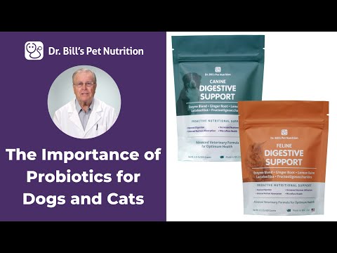 Digestive Support | The Importance of Probiotics for Dogs & Cats | Dr. Bill's Pet Nutrition