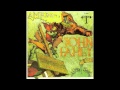 John Fahey - The Waltz That Carried Us Away And Then A Mosquito Came And Ate Up My Sweetheart