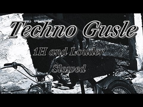 Techno Gusle slowed 1H