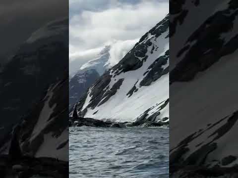 Sunset in Elephant Island #sunset #island #expedition #antarctica #wild #wildlife #penguin