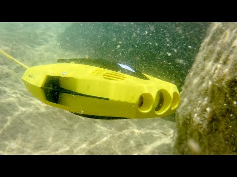 CHASING DORY - UNDERWATER DRONE