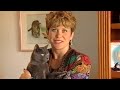 Ihre Katze Möchte Eine Massage