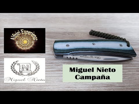 Miguel Nieto Campaña