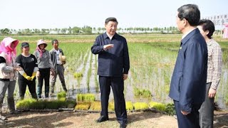 北京调兵备粮,习近平重回毛式备战防饥年代;瑞幸赴美上市前已做假帐;英国:华为是潜在敌国供货商;中国再推出口转内销;中国禁肉越禁越多| 今日华尔街(20200703) 北京调兵备粮,习近平重回毛式备战防饥年代;瑞幸赴美上市前已做假帐;英国:华为是潜在敌国供货商;中国再推出口转内销;中国禁肉越禁越多| 今日华尔街(20200703)