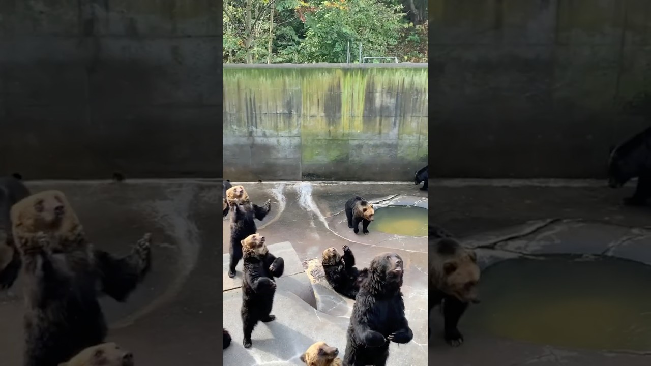 YouTube Short thumbnail