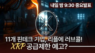 11개 핀테크 기업, 리플에 러브콜! XRP 공급제한 예고?