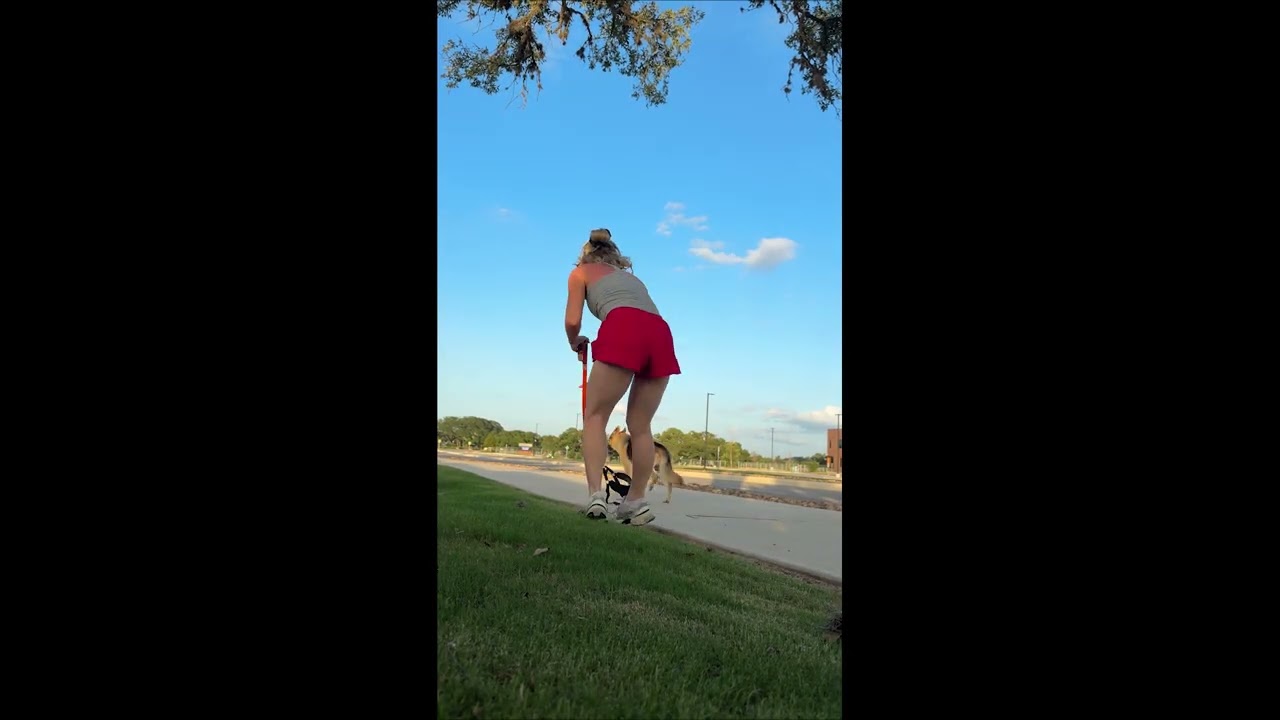 Dog Takes Their Opportunity to Escape || ViralHog