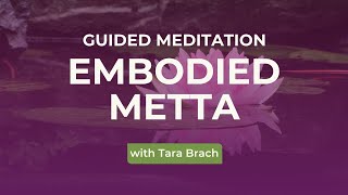 Guided Meditation: Embodied Metta, with Tara Brach