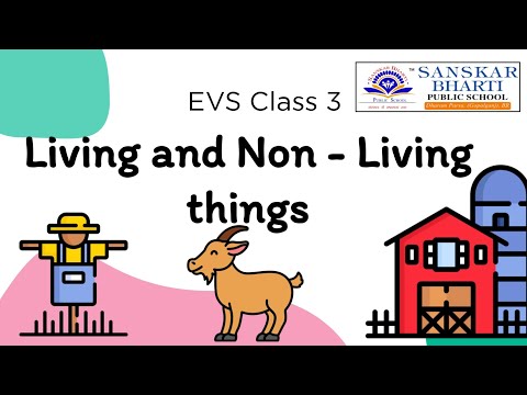 EVS : Living things and Non Living things | Class 3 Ch 1 | NCERT - the slate and pencil