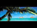 Shipwreck in the Caribbean Islands Latin Jazz ...