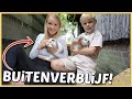 YES! HET BUiTENVERBLiJF iS GELUKT VOOR DE KONiJNEN! | Bellinga Vlog #2561
