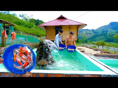 Building a life off the grid episode 80 | Drop 200 ornamental fish into the aquarium, feed the fish