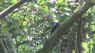 [水庫] 水庫娘檔案010～寶山二號水庫