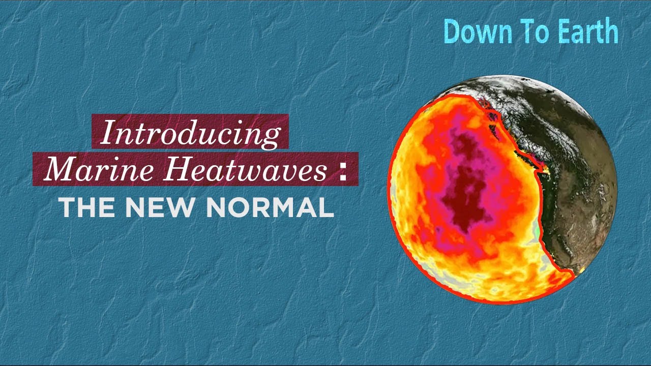 Marine Heatwaves in the Indian Ocean