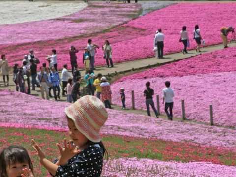 My Choice 599 - Josef Strauss: Transactions Waltz