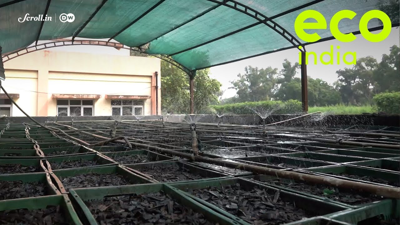 Eco India: Treating sewage water to make it drinkable could hold the answer to Delhi’s water woes