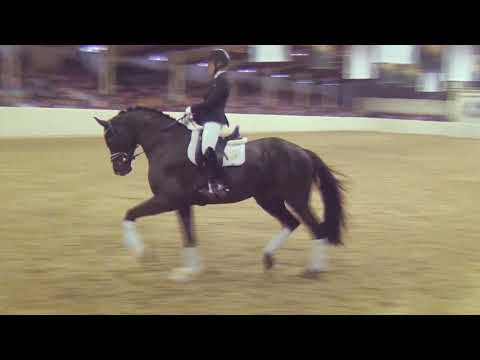 MARACANÁ & Lena Waldmann