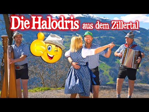 DIE HALODRIS AUS DEM ZILLERTAL - Willst a Halodri sein