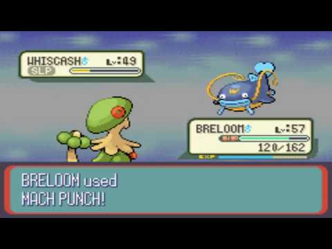 Pokémon Snakewood | Part 41 | With Sarah | Fort Draco & the Dragon's Gym