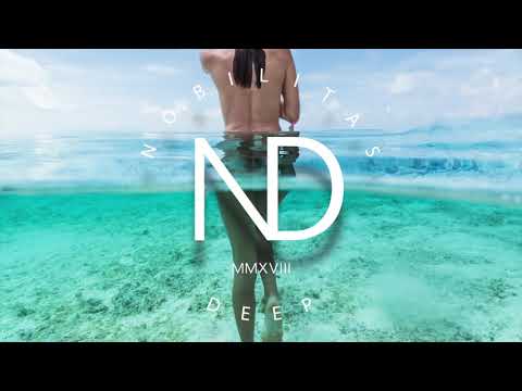 SRTW - Butterflies (feat. Charity Children)