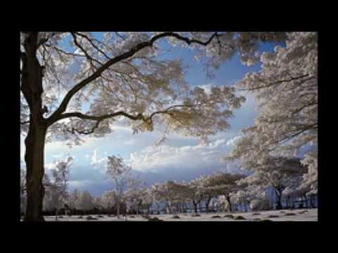 Nigel Kennedy - The Unknown Soldier (The Doors)