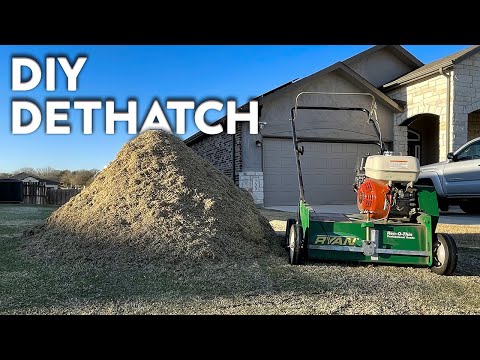 Dethatching my Bermuda Lawn