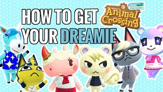 How to get the BEST Villagers! Animal Crossing New Horizons
