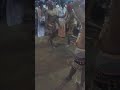 Kuppukurichi KARADI MADASAMI 2016 1