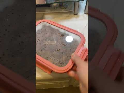 Stuck #bentgo container? No problem âșïž