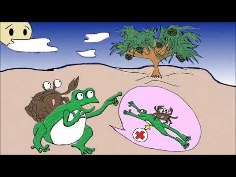 日本文化学科 The Back-riding game of the frog and the crab．　かえるとかにのせおいくらべ　(17AA091)