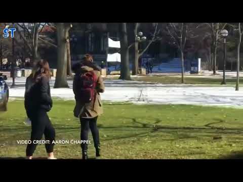 Inseguimento della polizia finito male