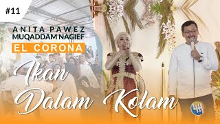Download lagu IKAN DALAM KOLAM - ANITA PAWEZ ft. MUQADDAM ELCORONA #11   (Cahaya & Safri - Samarinda) mp3