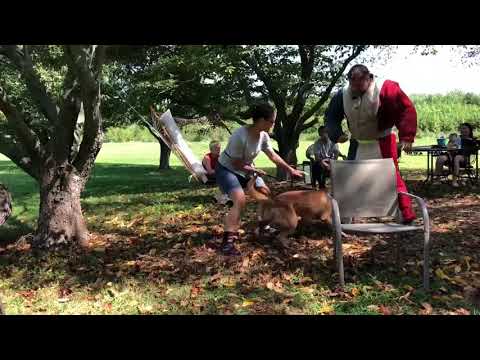 Thijs leg bite on the suit 9-26-18