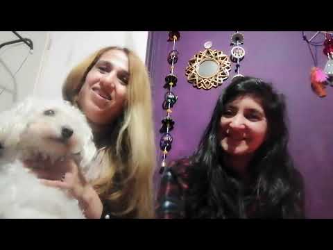 Una invitada inesperada 😂🐶🥰