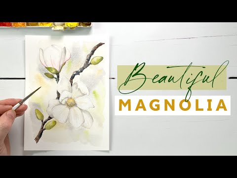 How To Paint Watercolour Magnolia Flowers