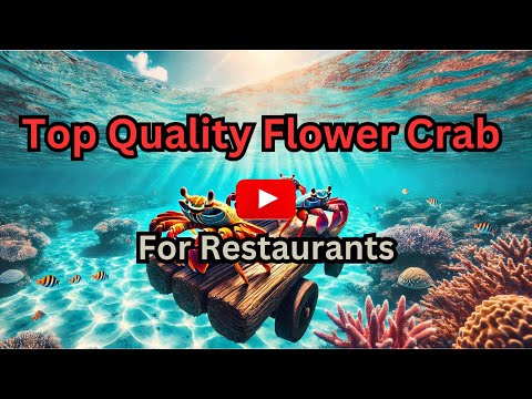 Ketam Bunga Berkualiti Terbaik untuk Restoran | Pembekal Makanan Laut Selangor