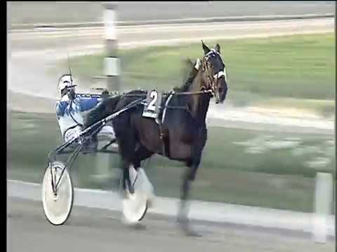 Trotto 19/11/2017 - 3ª corsa