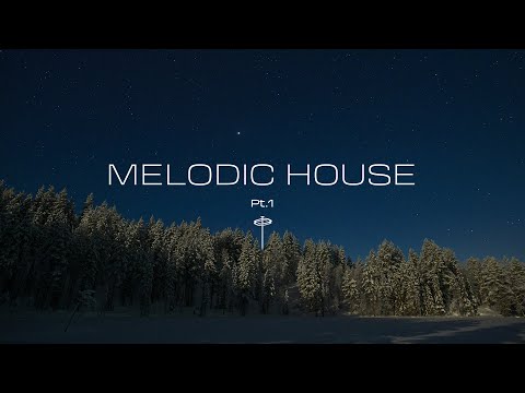 Melodic House Playlist (Pt.1) - Ben Böhmer | Lane 8 | Luttrell | Fejká | Sultan + Shepard