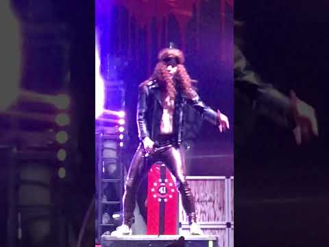 Sum 41 - Pain For Pleasure (Live @ Mediolanum Forum - Milan 01-29-2017)