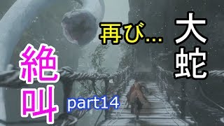 14【SEKIRO】不死斬りGETなり！そして大蛇、再び相まみえる！