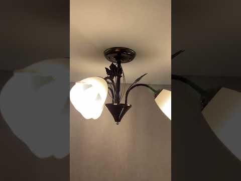 фото светильник потолочный люстра 1007-3 коричневый+золото 0