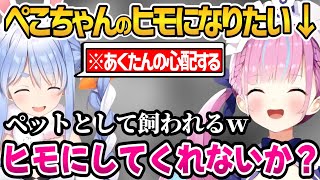 [Vtub] 阿夸說想給兔子養