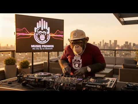 Musiq Promos and SEGODI PRO - Home