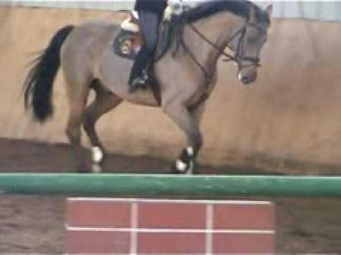 Caballo Cash and Carry I