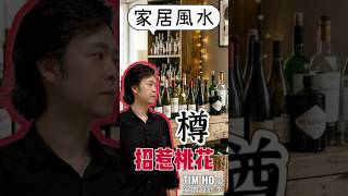 桃花|留意樽形擺設|酒|花樽?|家居風水|Tim Ho 何偉立
