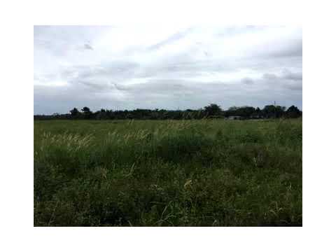 160 SW 208 ave,Miami,FL 33187 Comercial En Venta