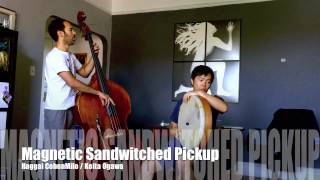 Haggai Cohen Milo and Keita Ogawa using Magnetic Sandwiched Pickup