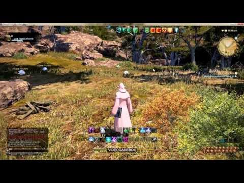 Final Fantasy XIV: Hair Club for Hyur