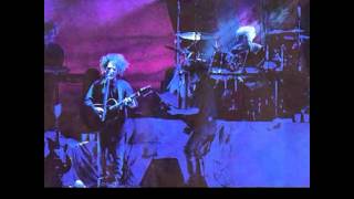the cure prayers for rain live 89 subtitulada