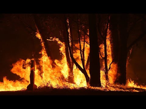 ‘Red tape’ has led to delay in allocation of millions in bushfire donations